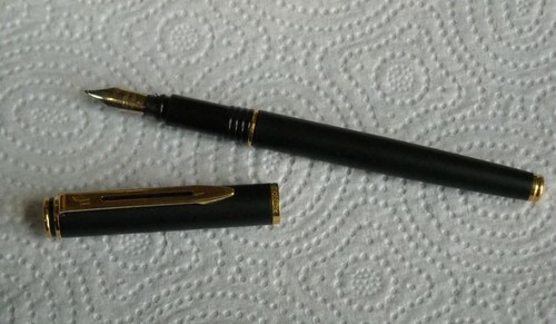 Penna stilografica waterman - penna,