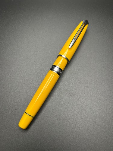 Penna stilografica waterman - penna,