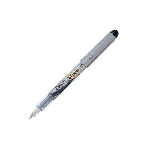 Penna stilografica pilot - penna, vpen